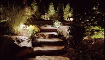 Low Voltage Lighting