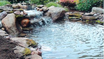 Water Features